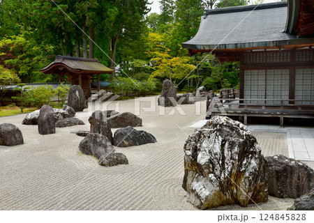 高野山　金剛峯寺の蟠龍庭 124845828