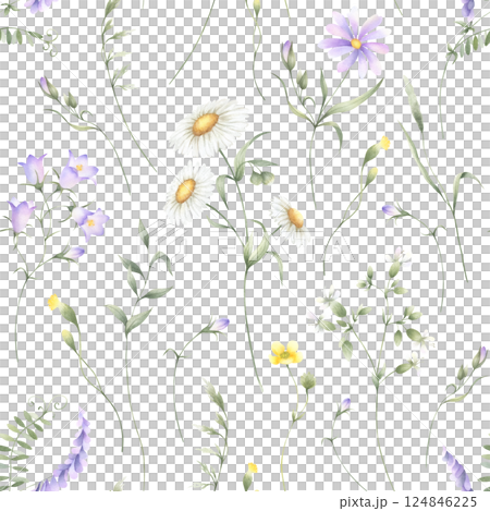 Seamless floral pattern of watercolor wildflowers chamomile, bellflower, buttercup, mouse pea and grasses isolated from background. Hand drawn meadow yellow and lilac flowers for fabric print, cards. 124846225
