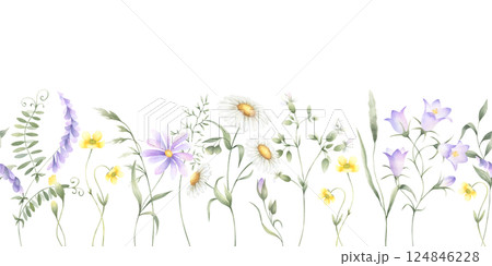 Seamless floral border of watercolor wildflowers chamomile, bellflower, buttercup and grasses isolated from background. Hand drawn meadow yellow and lilac flowers for fabric print, packaging, cards. Seamless floral border of watercolor wildflowers chamomile, bellflower, buttercup and grasses isolated from background. Hand drawn meadow yellow and lilac flowers for fabric print, packaging, cards. 124846228