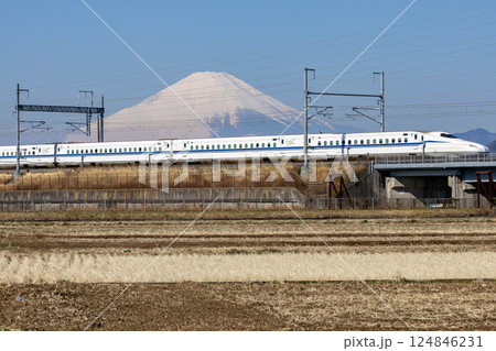 神奈川県平塚市で見える富士山と東海道新幹線(2) 124846231