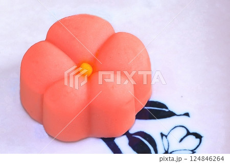 日本伝統のスイーツ・美味しい生菓子 124846264