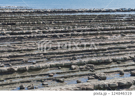 日南海岸　鬼の洗濯板　波状岩 宮崎 124846319