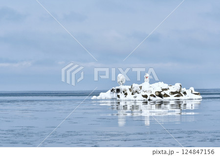 冬景色 冬景色 124847156