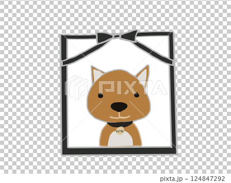 A portrait of a pet dog 124847292