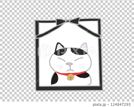 葬禮寵物貓臉部插圖 124847293