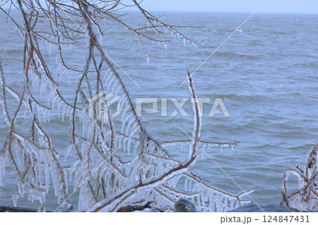 琵琶湖としぶき氷 124847431