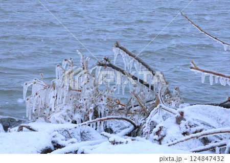 琵琶湖としぶき氷 124847432