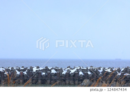 琵琶湖と雪 琵琶湖と雪 124847434