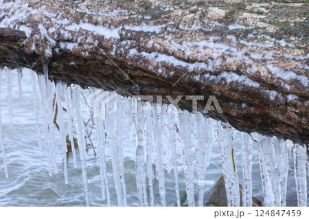 琵琶湖としぶき氷 124847459