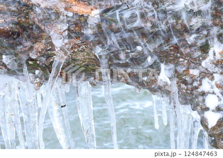 凍った枝 凍った枝 124847463