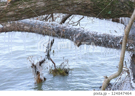 琵琶湖としぶき氷 124847464