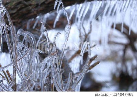 しぶき氷 124847469