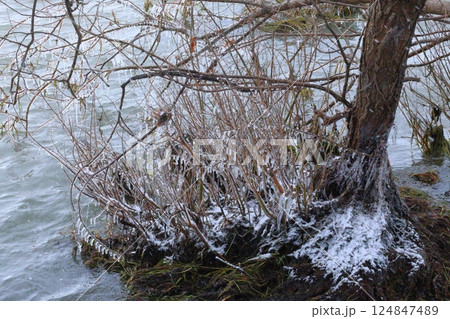 琵琶湖としぶき氷 琵琶湖としぶき氷 124847489