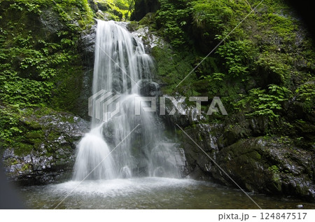 夏の奥秩父・尾ノ内渓谷の一番滝 124847517