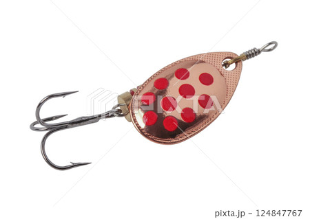 Spinner bait 124847767
