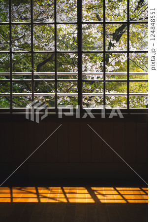 窓から見える桜 124848551