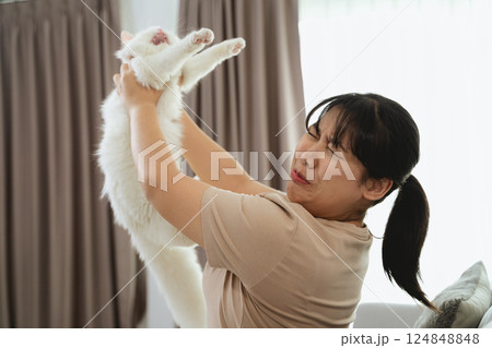 An Asian woman is playing with a white Persian cat in the living room. An Asian woman is playing with a white Persian cat in the living room. 124848848