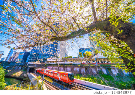 日本の東京都市景観CBTCシステム…東京メトロ丸ノ内線新型車両2000系や御茶ノ水駅、桜などを望む 124848977