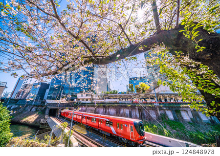日本の東京都市景観CBTCシステム…東京メトロ丸ノ内線新型車両2000系や御茶ノ水駅、桜などを望む 日本の東京都市景観CBTCシステム…東京メトロ丸ノ内線新型車両2000系や御茶ノ水駅、桜などを望む 124848978