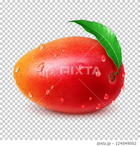 芒果插圖逼真的白色背景 124849002