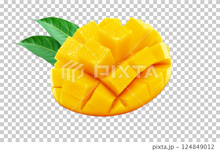 芒果插圖逼真的白色背景 124849012