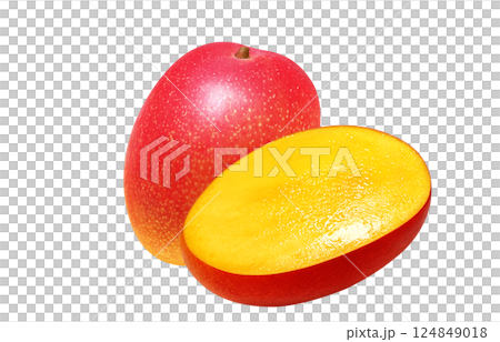 Mango illustration realistic white background 124849018