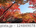 京都嵐山常寂光寺の秋の紅葉 124849078