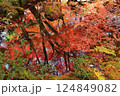 京都嵐山常寂光寺の秋の紅葉 124849082