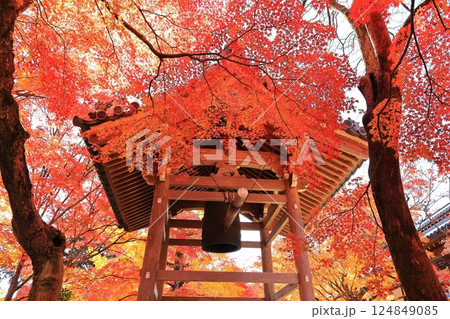 京都嵐山常寂光寺の秋の紅葉 124849085