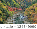 嵐山トロッコの秋 124849090