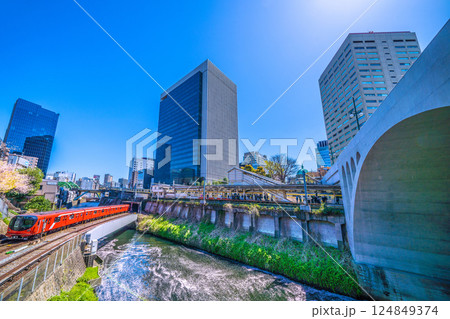 日本の東京都市景観 珍景。丸ノ内線2000系や御茶ノ水駅、聖橋。水面には花筏が広がる 日本の東京都市景観 珍景。丸ノ内線2000系や御茶ノ水駅、聖橋。水面には花筏が広がる 124849374