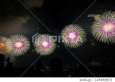 多彩な花火が夜空を埋め尽くす華やかな花火大会の風景 多彩な花火が夜空を埋め尽くす華やかな花火大会の風景 124849673