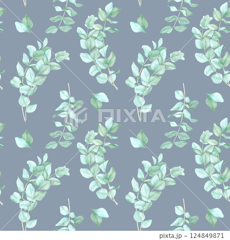 Eucalyptus leaves in soft blue-green hues set against a dusty blue background. This watercolor seamless pattern suits interior design projects, fabric printing, and botanical-themed websites 124849871