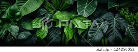 Background: green tropical leaves 124850052