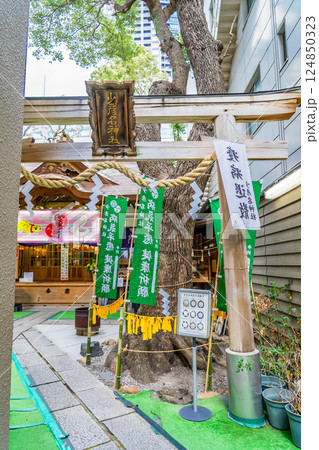 少彦名神社(道修町の神農さん)薬の神(神農炎帝)健康増進と商売繁盛の進徳 鳥居 大阪市中央区道修町 少彦名神社(道修町の神農さん)薬の神(神農炎帝)健康増進と商売繁盛の進徳 鳥居 大阪市中央区道修町 124850323