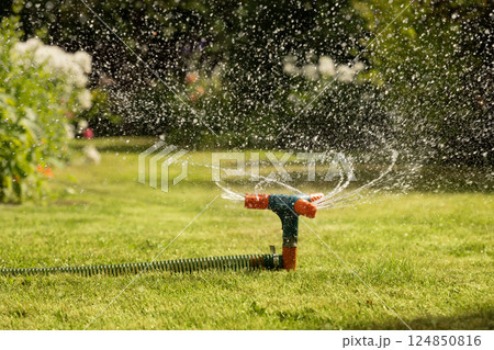Watering garden with a hose at heat summer on backyard. Close up. Automatic smart irrigation system. 124850816