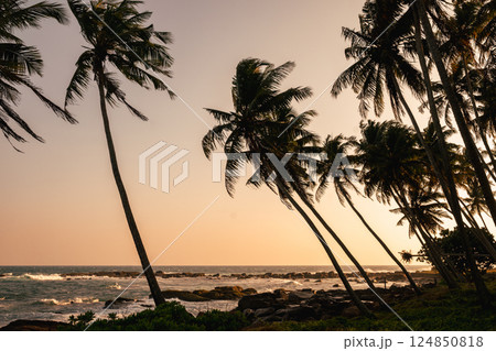 Coastal tropical landscape with palm trees against sunset backdrop. Ocean waves crash onto rocky shores beneath silhouetted palms. World Ocean Day. 124850818