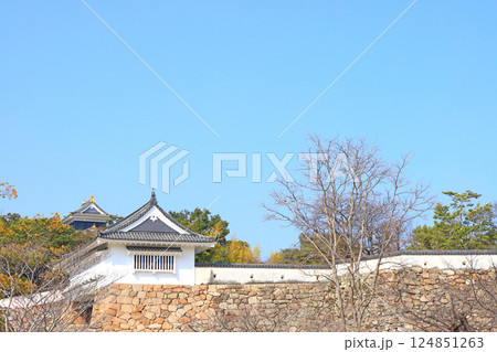 岡山県岡山市、烏城公園の風景 岡山県岡山市、烏城公園の風景 124851263