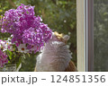 Rea ginger cat and bouquet of pink phlox 124851356