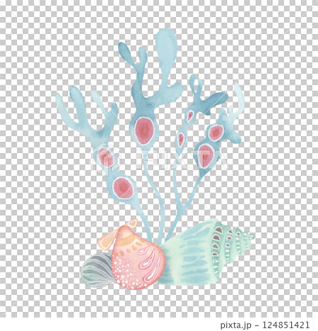 Stylized seaweed and shells. Decorative watercolor composition in pastel tones with soft pencil texture. Great for undersea-themed prints, kids decor, and creative journaling 124851421