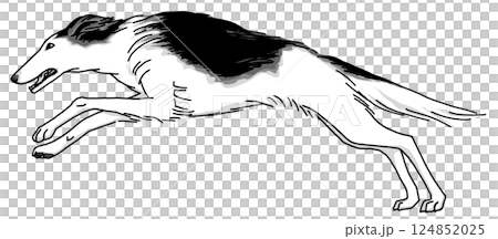 ボルゾイ 白黒 背景透過 犬のイラスト ボルゾイ 白黒 背景透過 犬のイラスト 124852025