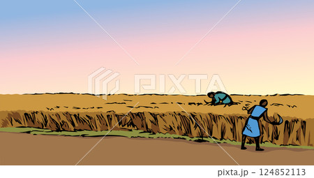 Vector drawing. Reapers in the field 124852113