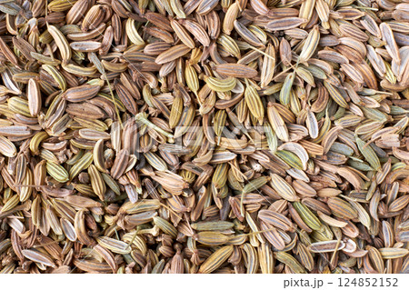 scattered fennel as a background for design. top view 124852152