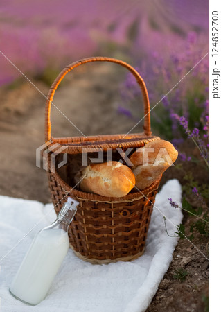 Wicker basket with two baguettes and bottle of milk on white blanket at picnic in lavender, vertical 124852700