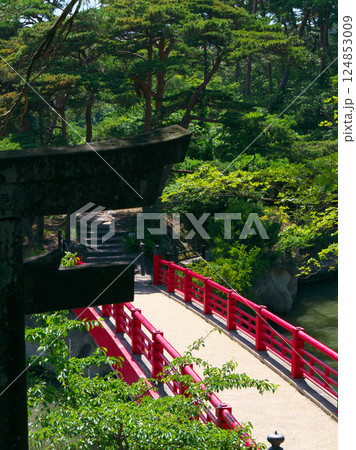 日本三景 松島(雄島の鳥居と渡月橋)【宮城県宮城郡松島町】 日本三景 松島(雄島の鳥居と渡月橋)【宮城県宮城郡松島町】 124853009