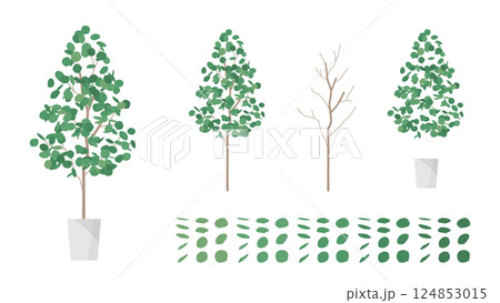 観葉植物のユーカリのイラスト素材セット 観葉植物のユーカリのイラスト素材セット 124853015