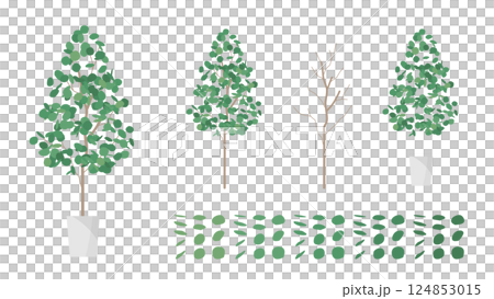 観葉植物のユーカリのイラスト素材セット 観葉植物のユーカリのイラスト素材セット 124853015