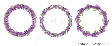 Set of lavender wreaths on a white background. Collection of floral round frames. Illustration for a wedding invitation, postcard, logo. 124853502