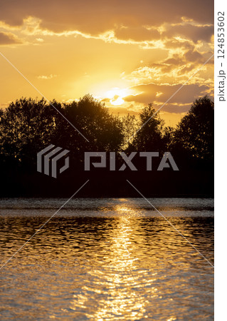 colorful summer sunset on the lake shore with trees illuminated by the sun from behind colorful summer sunset on the lake shore with trees illuminated by the sun from behind 124853602