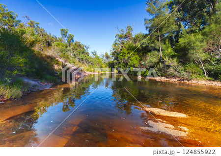 A freshwater creek flowing through scenic wilderness 124855922